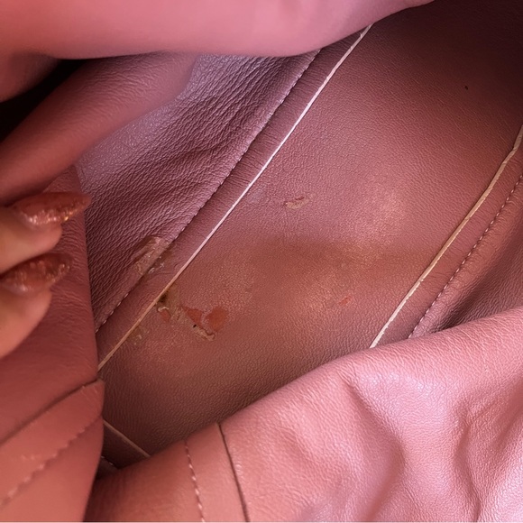 MANSUR GAVRIEL
Lambskin Mini Protea Bag Blush with dustbag & box - Picture 14 of 17